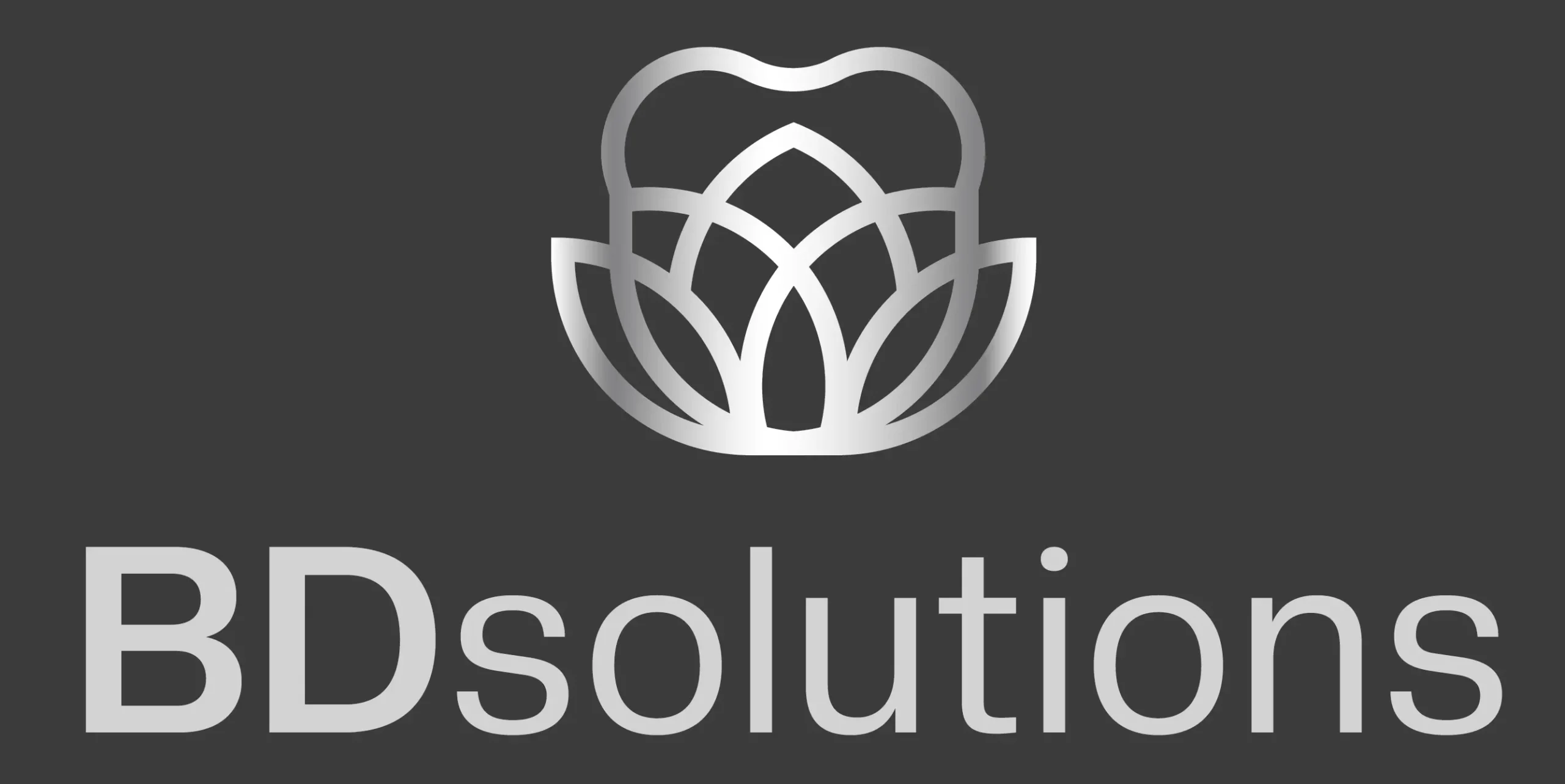 BDsolutions_logo_pion_negatyw